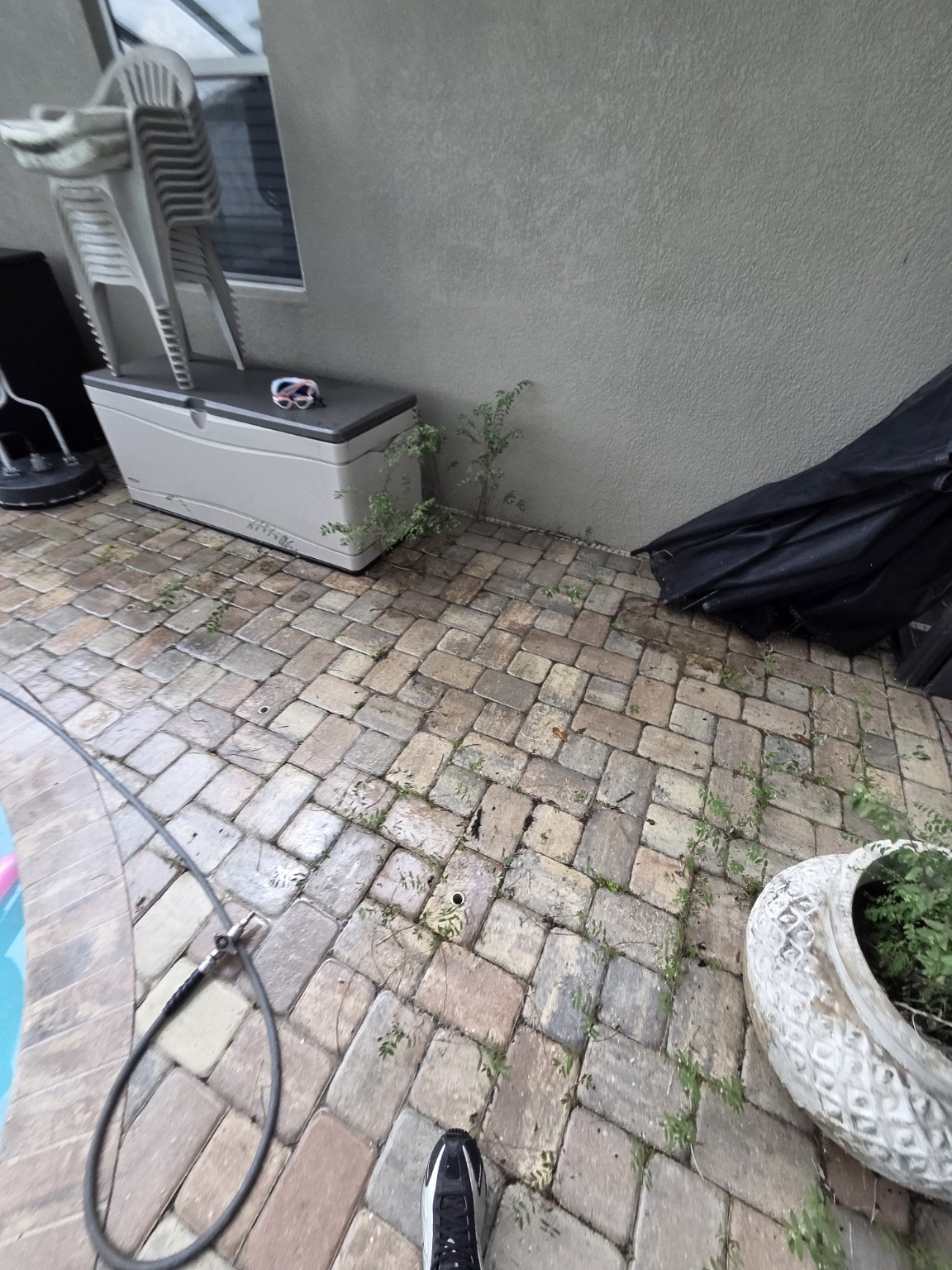 Paver pool deck before cleaning, with weeds and buildup between the pavers